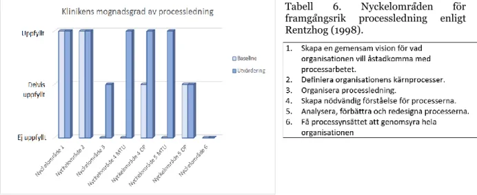 Figur 6. Bedömning av klinikens mognadsgrad vad gäller  processledning utifrån Rentzhogs (1998) sex identifierade  nyckelområden 