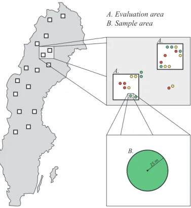 Figure 2. Illustration of evaluation areas (A), sample areas (B) and their relation. Sample areas are not restricted to be inside an evaluation area