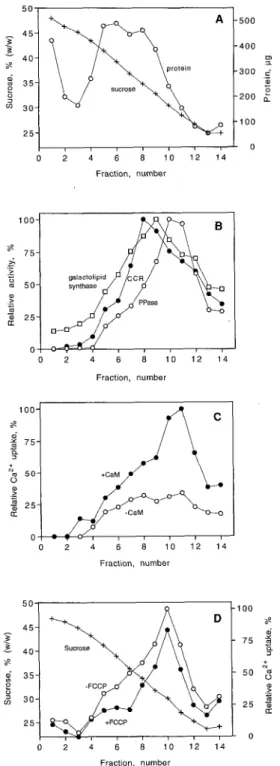 Figure  1.  Distribution of ATP-dependent, CaM-stimulated  Ca’+  uptake  and  different  marker  enzyme  activities  after  continuous  Suc  gradient  centrifugation  of  a  microsomal  membrane  fraction  from  cauliflower  inflorescences
