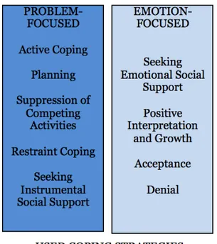 Figure 1.  Scales of Coping Strategies