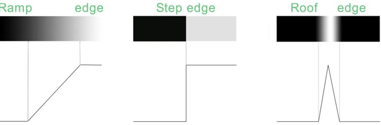 Figure 2-2. Ideal edge representation: (a) ramp edge, (b) step edge, (c) roof edge. 