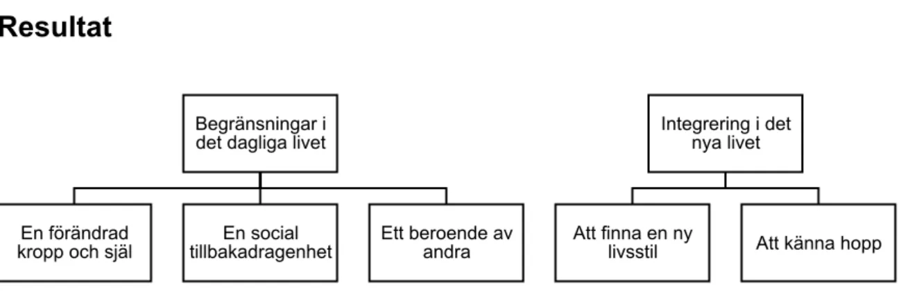 Figur 1 Huvudkategorier och underkategorier. 