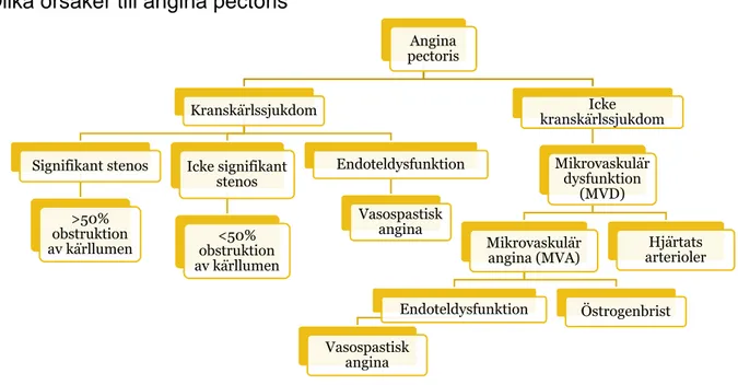 Figur 1 Figuren visar en schematisk bild av olika angina pectoris varianter (Crea, Lanza 2010; Meijboom et al.,  2008)