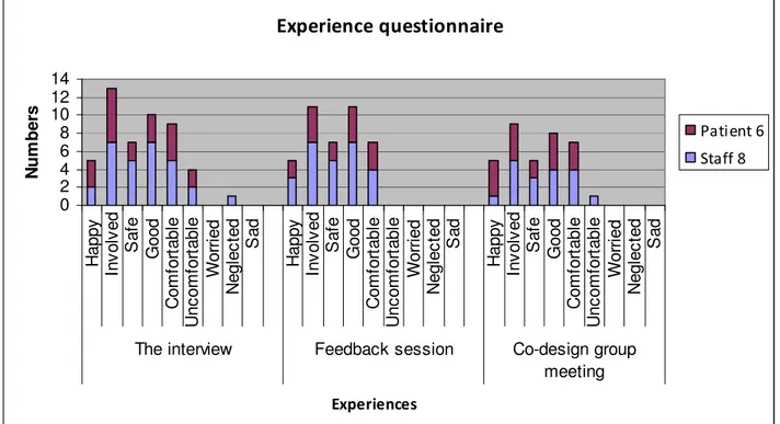 Figure 4: The result of the experience questionnaire analysis prior to the interviews