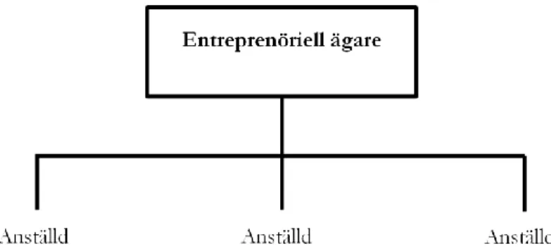 Figur 1 Entreprenöriell struktur, efter Baily et al. (2005). 