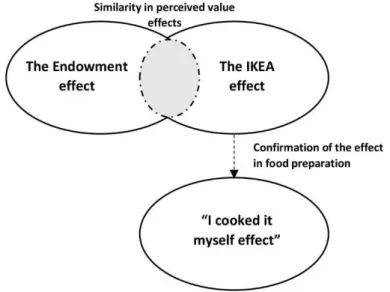 Figure 2.1 – The inter-connection of Endowment, IKEA &amp; “I cooked it myself effect” 