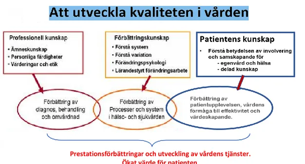 Figur  1.  Förbättringsmodell  inom  hälso-  och  sjukvård  av  Batalden  &amp;  Stolz  (1993)  med  tillägg  av  Patriksson &amp; Tedsjö (2018)