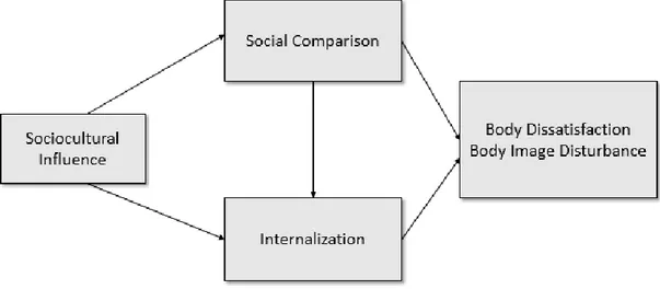 Figure 1   Comprised Version of the Tripartite Influence Model 