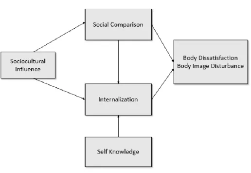 Figure 2   Influence model - Self-knowledge 