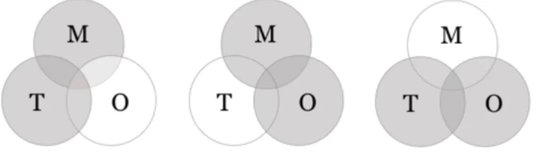 Figur 10 Interaktionerna i MTO 