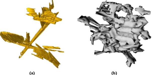 Figure 6. Three-dimensional reconstructions of (a) β-Al 5 FeSi platelets (b) an α- α-Al 15 (Fe,Mn) 3 Si 2  particle [35]