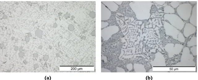 Figure 8. α-particles with different morphologies: (a) as primary polyhedral sludge  particles and (b) as Chinese script in a quenched sample