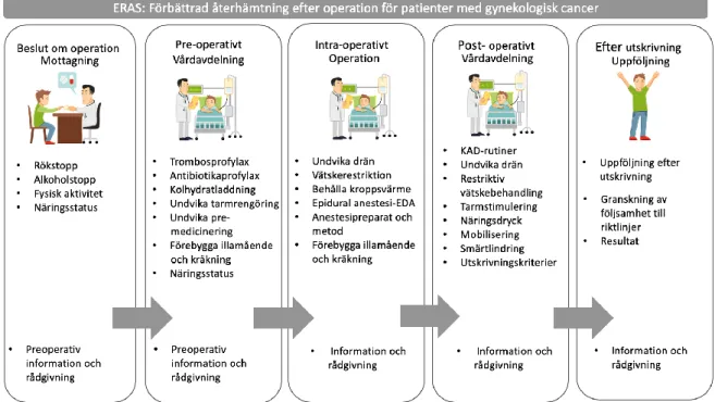 Figur 1. Illustration över interventioner beskrivna i ERAS vårdprogram. Fritt utifrån  Nelson et el (2017a) och Nelson et