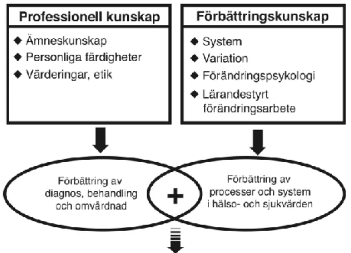 Figur 2. hämtad från svensk sjuksköterskeförening utifrån Batalden &amp; Stoltz, 1993