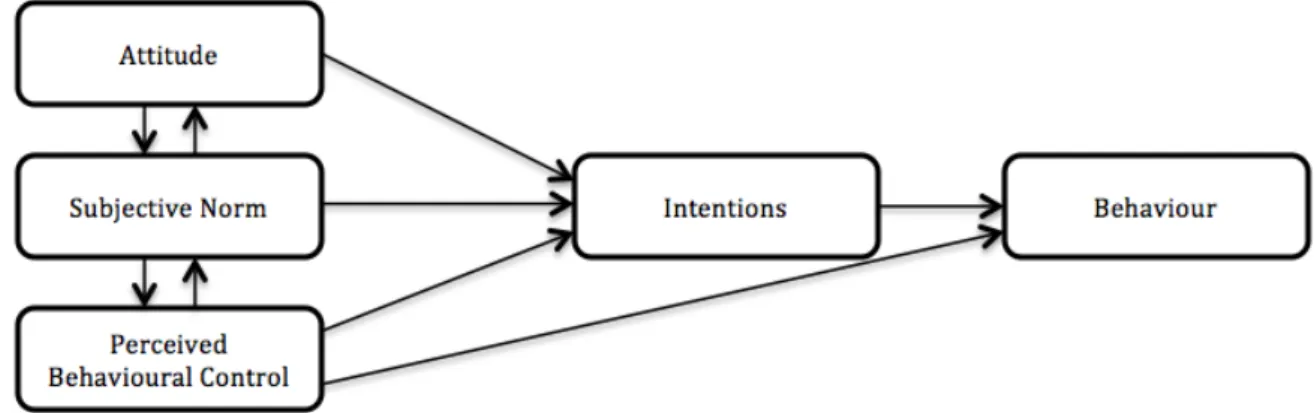 Figure 2.2  Figure of the Theory of Planned Behaviour (Fishbein &amp; Ajzen, 1975)  