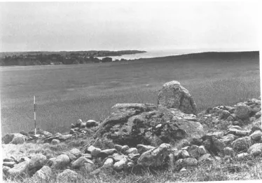 Figur 3. Megalitgraven i Alvastra, Östergötland
