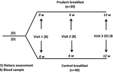 Figure 5. Study design for the RCT, “Role of a prudent breakfast in improving car- car-diometabolic risk factors in subjects with hypercholesterolemia: a randomised  con-trolled trial” (Paper IV)