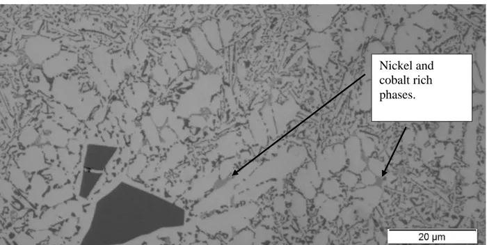 Figure 12. Microstructure of the Al-15Si-Co-Ni alloy showing the distribution of the intermetallic  phases