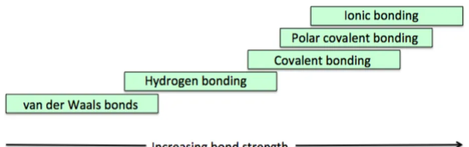 Figure  5.  A  continuous  scale  of  bond  strengths  (adapted  from  Levy  Nahum  et  al., 2008)
