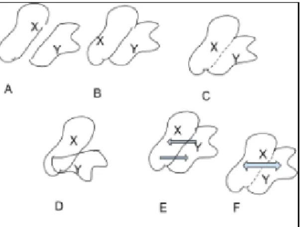Figur 1 A. Två domäner X och Y. 1 B. Domäners gränssnitt. 1 C. Domäner med  genomtränglig gräns