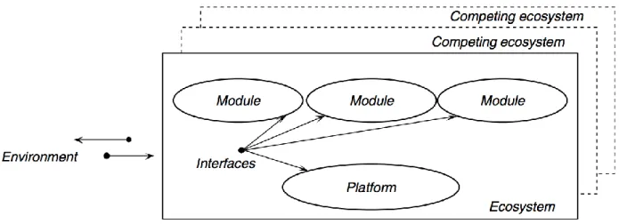Figure 5. Elements of platform-centric ecosystems. Tiwana et al (2010). 