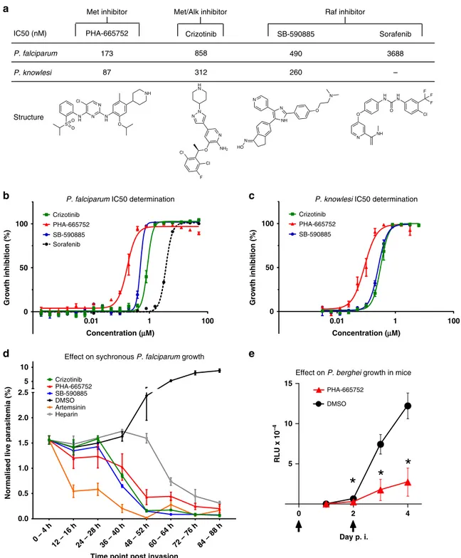 Fig. 6 IC 50 and phenotypic effect of human kinase inhibitors on Plasmodium blood-stage development