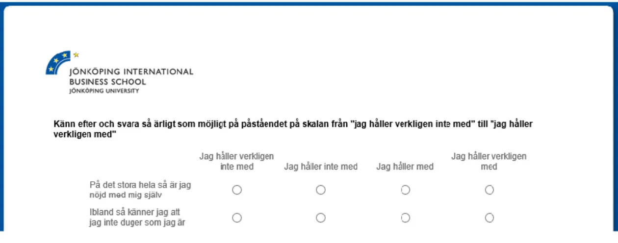 Figure B. Questionnaire design. 