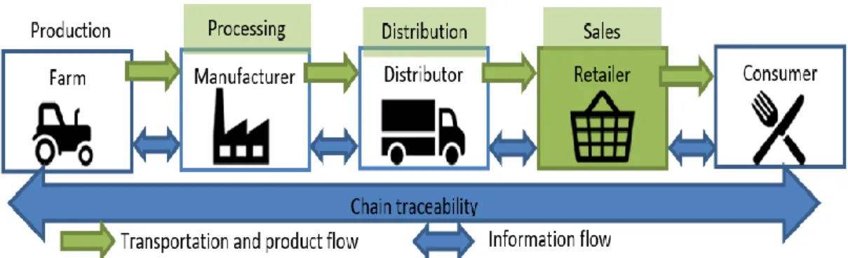 Figure 1: The fresh food Supply Chain and focus of the thesis (highlighted in the green  box)