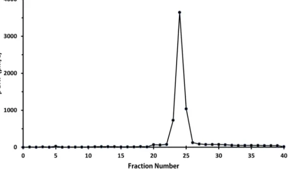 Figure 2. A single peak of immunoreactive BNP on size exclusion high performance liquid chromatography from an extract of camel atrial tissue using a radioimmunoassay with standard porcine BNP and antibody directed against porcine BNP