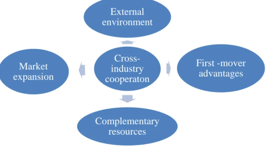 Figure 4. Cross Industry Cooperation Model (Authors Compilation) 
