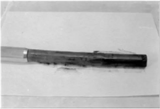 Figur  12.  Kolvborrprov  ~21  mm . 