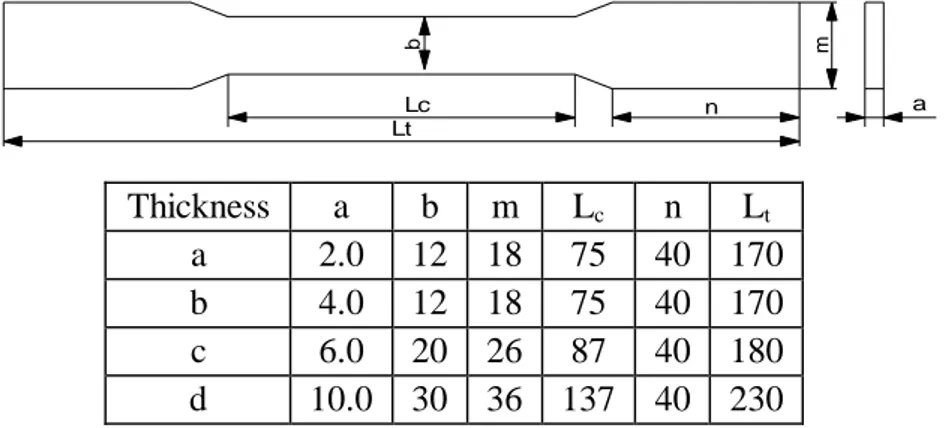 Figure 3. Dimension and shape of specimens.