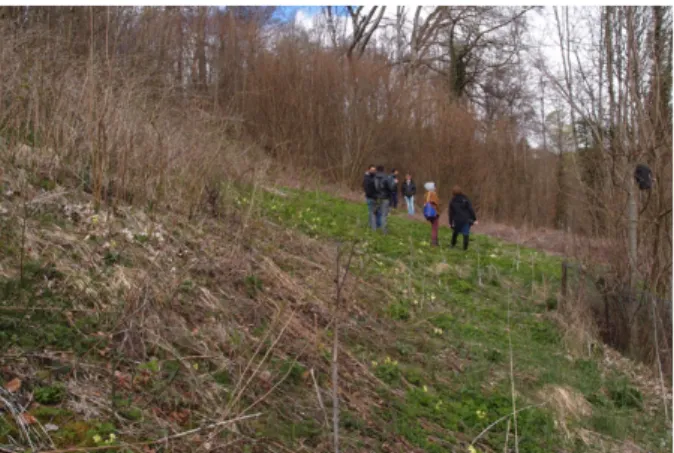 Figure 2: Observing while walking on the plot of land.  