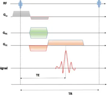 Figure 2.4: Pulse Sequence diagram for magnetic resonance image formation simpliﬁed for Gradient Echo