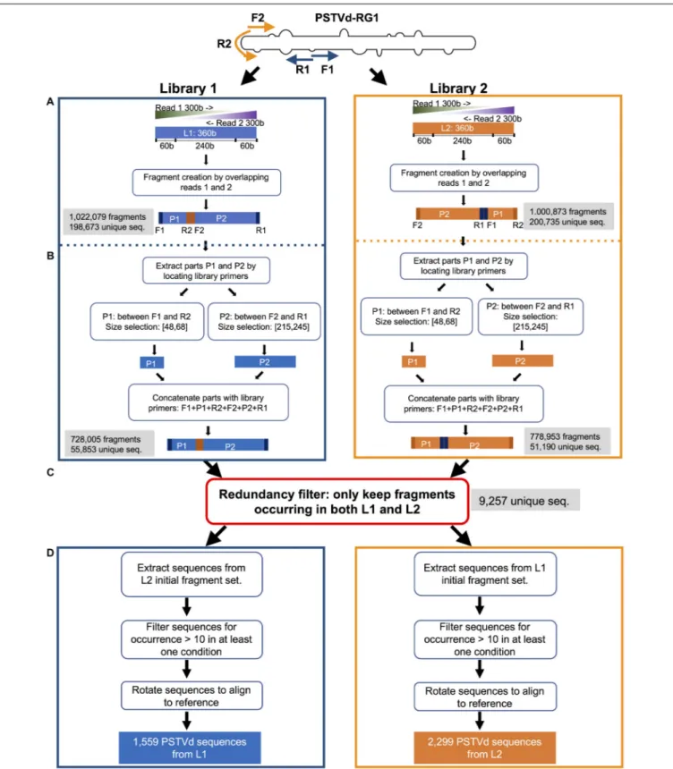 FIGURE 1 | Scheme of the steps followed for the treatment of the high-throughput sequence data