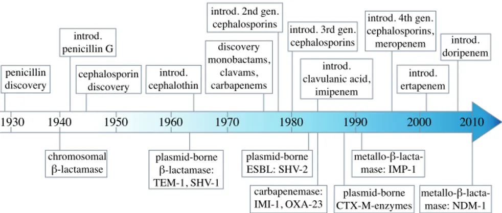 Figure 1. Timeline of key events 80 years after β-lactam discovery. The time of  discovery and clinical introduction of β-lactam antibiotics are depicted above the  arrow