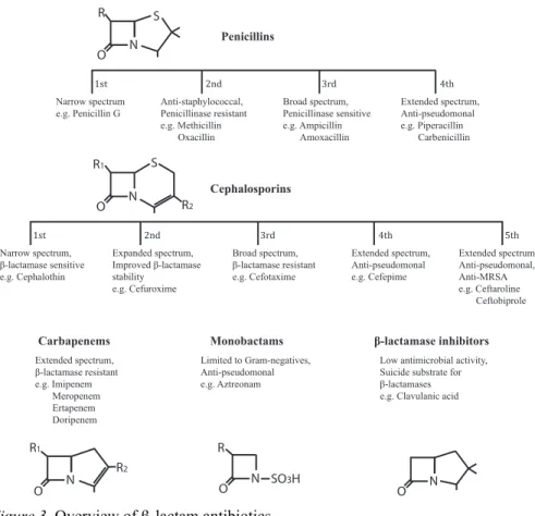 Figure 3. Overview of β-lactam antibiotics. 