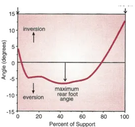 Figur 2 Graf av inversion och eversion  under stödfasen (Hamill &amp; Knutzen,  2006)