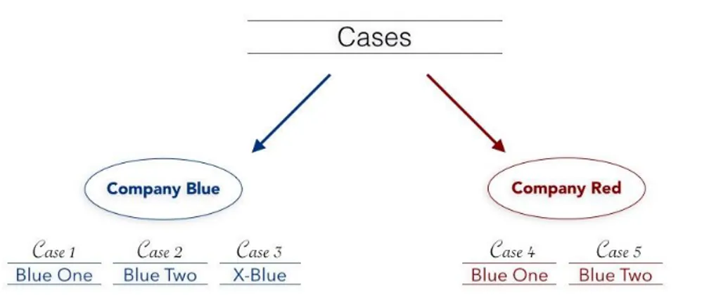 Figure 2. Visual clarifications of cases 