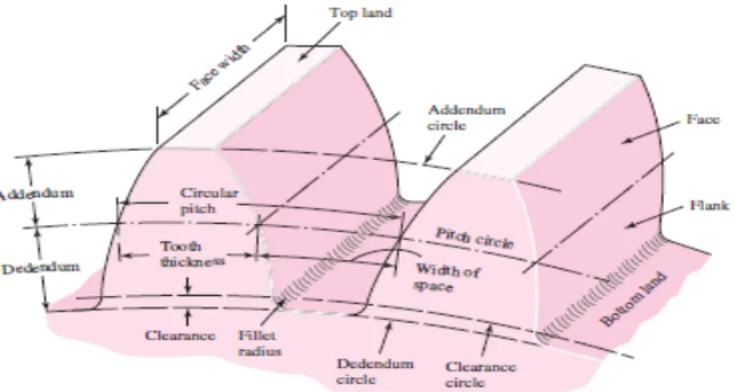Figure 3.1 nomenclature for spur gear [18] 