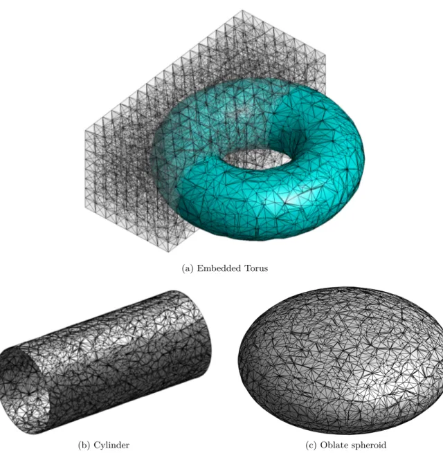 Figure 1.6: Implicit surfaces. The surface Γ is represented by the set of linear triangles Γ h which is computed by linearly interpolating the nodal valued level-set function φ h along the faces of the background mesh.