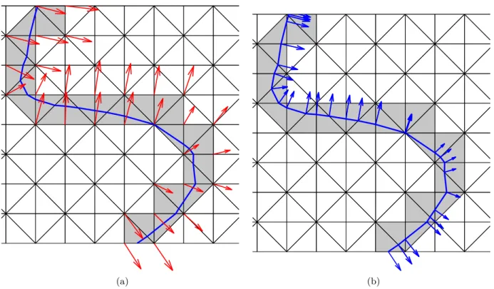 Figure 2.5: Discrete gradient field ∇φ h The blue line represents the linearly interpolated zero-level set Γ h 