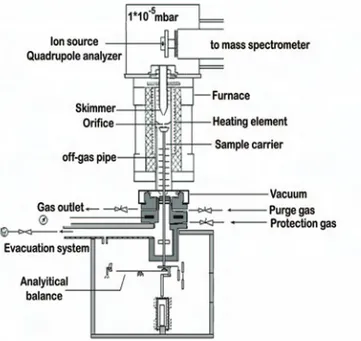 Fig. 2. Schematic of Netzsch STA 409.