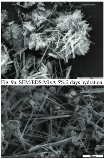 Fig. 9a. SEM/EDS MixA 5% 2 days hydration. 