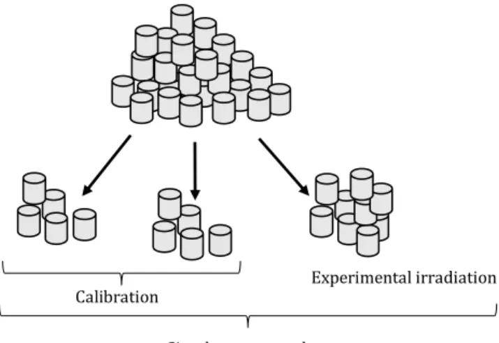 Figure 4. Schematic view of the phantom used for homogeneity irradiation. Phantom seen  from above