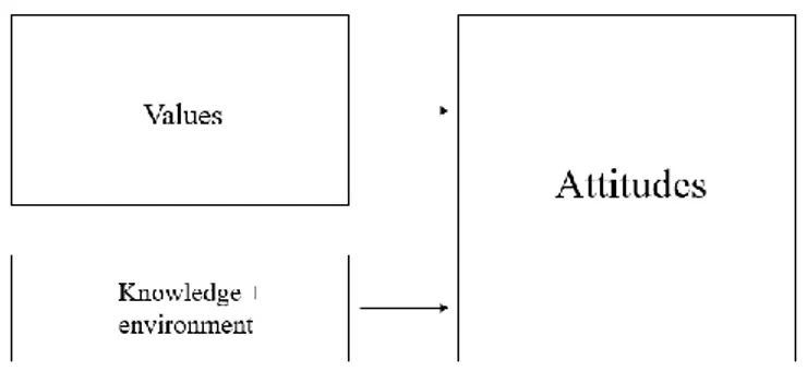 Figure 8. Formation of attitudes. 