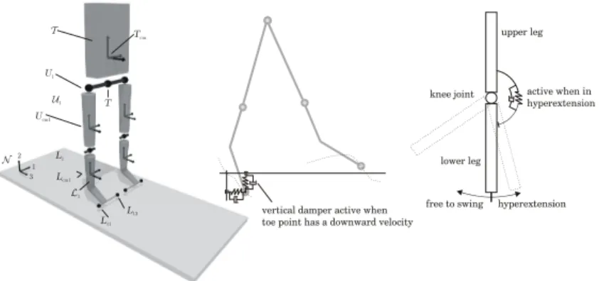 Figure 3.2: The di¤erent bodies of the 3D passive walker. Continuous impact dynamics are used in knee and ground plane.