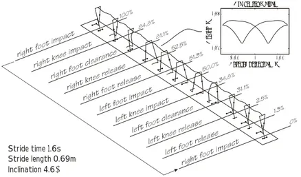 Figure 3.3: Stick animation of an stable periodic gait of the 3D walker. Toe clearance refers to the con…guration having a nonzero local minimum in distance between toe points and the ground plane.