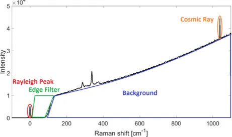 Figure 7: Typical Raman spectrum for CZTS obtained with 785 nm laser source with its characteristic parts marked