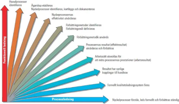 Figur 3 Processorienteringssteg från TC Processutveckling enligt Carlsson m.fl. 